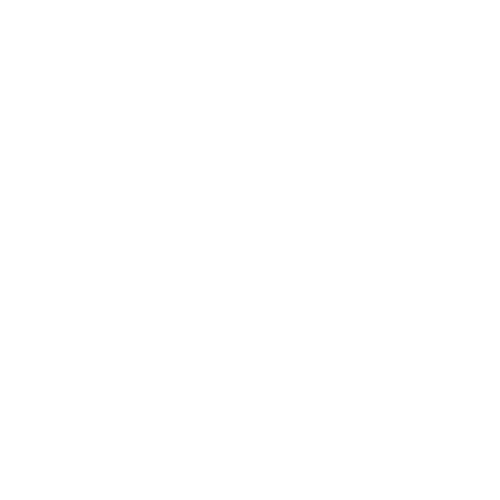 Emmet Ray